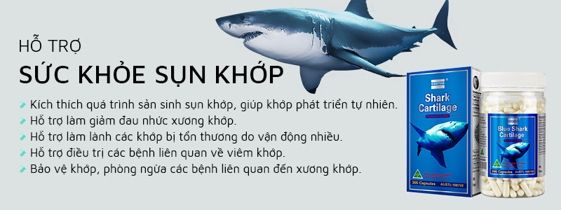 Sụn vi cá mập Blue Shark Cartilage cải thiện xương khớp