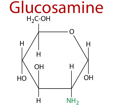 Glucosamine cấu tạo từ 2 thành phần chính là Glucose và Amino Acid Glutamine
