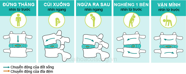 Cách thức đĩa đệm chuyển động
