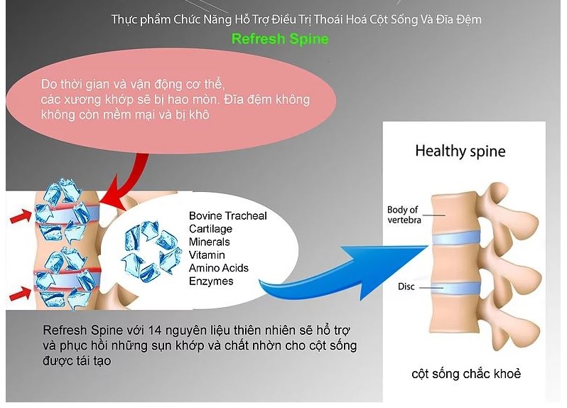Cơ chế tác động của Refresh Spine với hệ thống cột sống