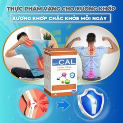 OFICAL bổ sung Canxi và khoáng chất ngừa loãng xương, Hộp 60 viên