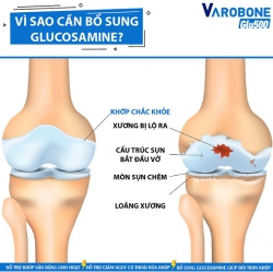 Shinpoong VAROBONE GLU 500, Hộp 60 Viên